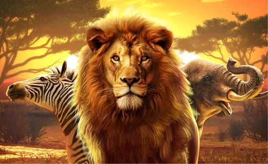 Safari Wilds ทดลองเล่น